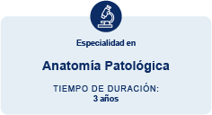 Patologia